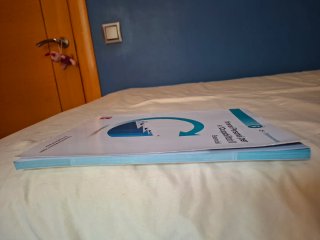Itinerari Personal per a l'Ocupabilitat II. Ess...
