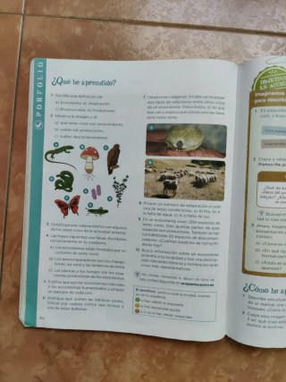 Ciencias de la Naturaleza 4