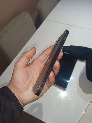 iPhone 12 Pro Max Gris Plata