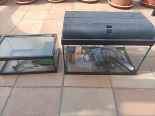 Acuario y pecera para tortugas