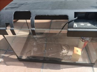 Acuario y pecera para tortugas