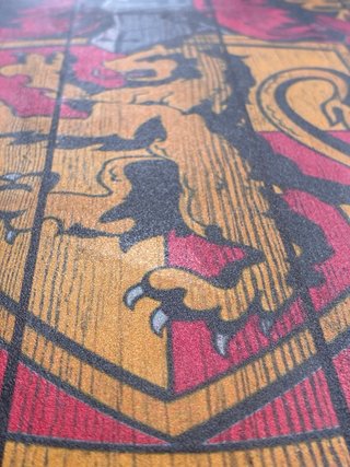 Cuadro Decorativo Gryffindor Harry Potter