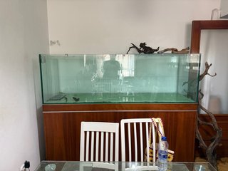 Acuario 190x60x60 cm