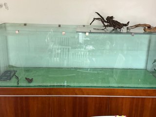 Acuario 190x60x60 cm