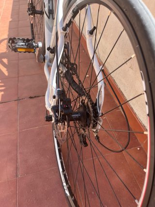 Bicicleta