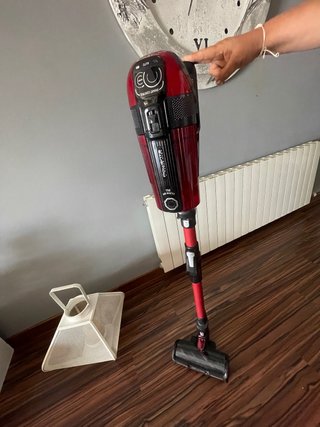 Aspirador Rowenta X-Flex
