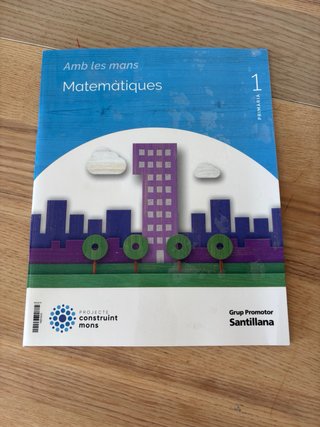 MATEMATIQUES 1 PRIMARIA CONSTRUINT MONS