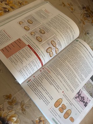 Biología, Geología y CC. Ambientales 1º Bachill...