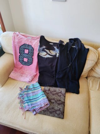 Lote Ropa Talla L: Camisetas y Chaqueta