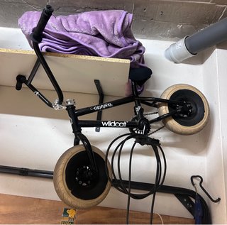 Mini BMX Wildcat Original