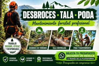 Desbroce tala poda