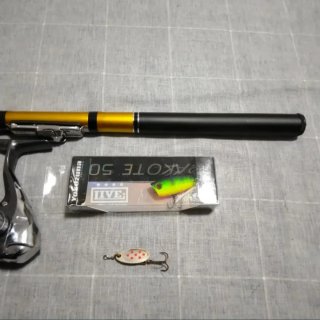 Caña pesca EVIA CARRETE Shimano Sienna señuelos