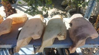 Bote de aceite para Jog