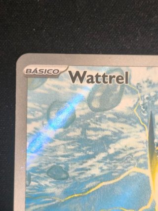Wattrel AR Holo 178/167