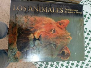 Los atletas de élite del reino animal