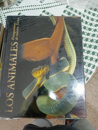 Los atletas de élite del reino animal