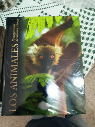 Los atletas de élite del reino animal