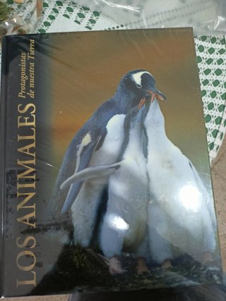 Los atletas de élite del reino animal