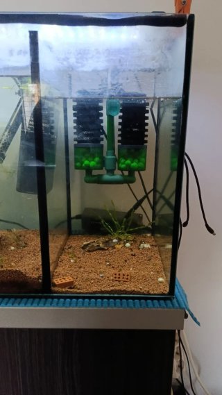 Acuario con filtros y roca