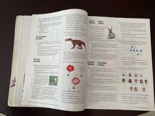 Biología y geología 4, Secundaria Edelvives