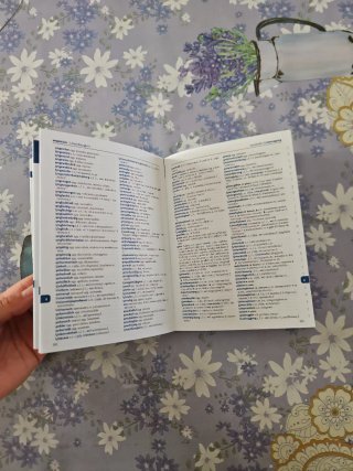 Tedesco compatto. Dizionario tedesco-italiano, ...