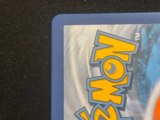 Rockruff Shiny Carta Pokémon Español