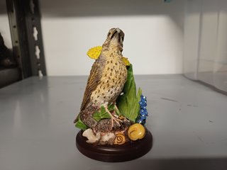 Tordo bottaccio The Country Bird Collection