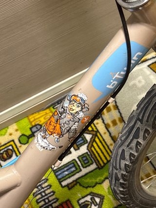 Bicicleta unisex 20 pulgadas
