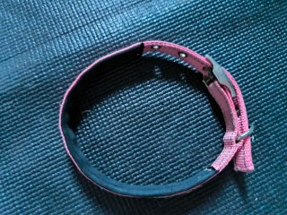 Arnés, collar para perro yommy + 2 conjuntos