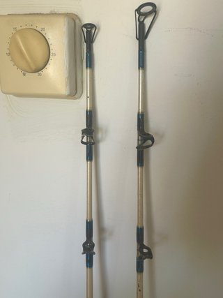 2 Cañas de Pesca CURRICAN
