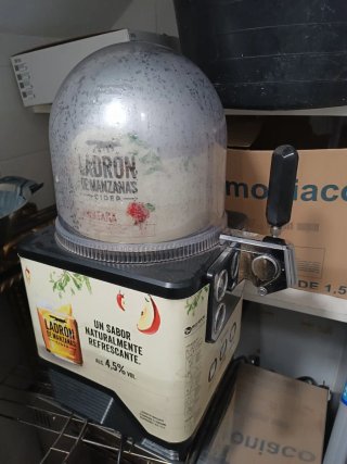 Dispensador Cerveza Ladrón de Manzanas