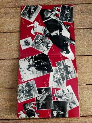 Vinilo Red Steagall Country
