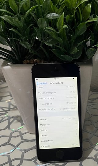 iPhone 5s Space Gray
