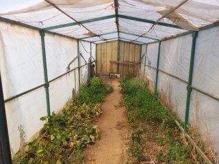 Estructura Invernadero 2x6m