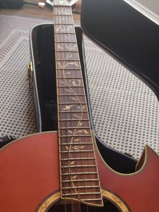 Ibanez EP9 Steve Vai Signature Guitarra