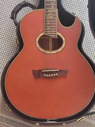 Ibanez EP9 Steve Vai Signature Guitarra