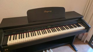 Piano Digital Ringway TG8875
