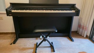 Piano Digital Ringway TG8875