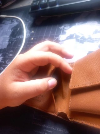 Cartera Louis Vuitton Marrón