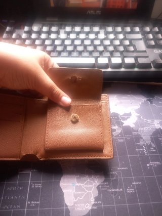 Cartera Louis Vuitton Marrón
