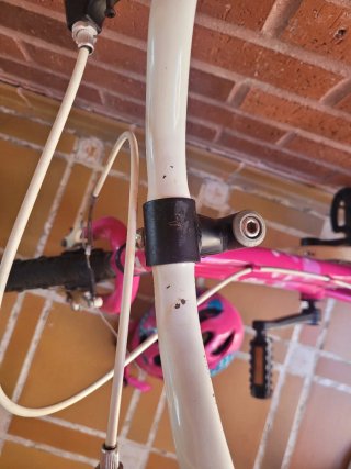Bicicleta niña 16 rosa DTB