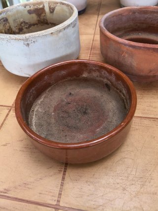 3 Platos para Macetas 2 euros