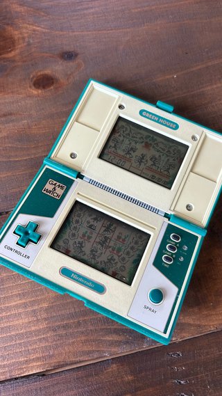 Nintendo Game & Watch Green House