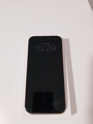 iPhone 16 Pro max Oro