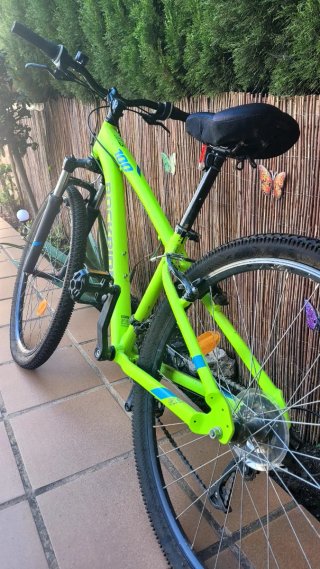 Bicicleta Montaña Rockrider 100 Verde