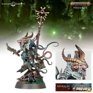 Skaven Vidente Gris Warhammer Age of Sigmar