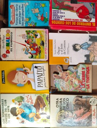 Varios libros infantiles y adultos