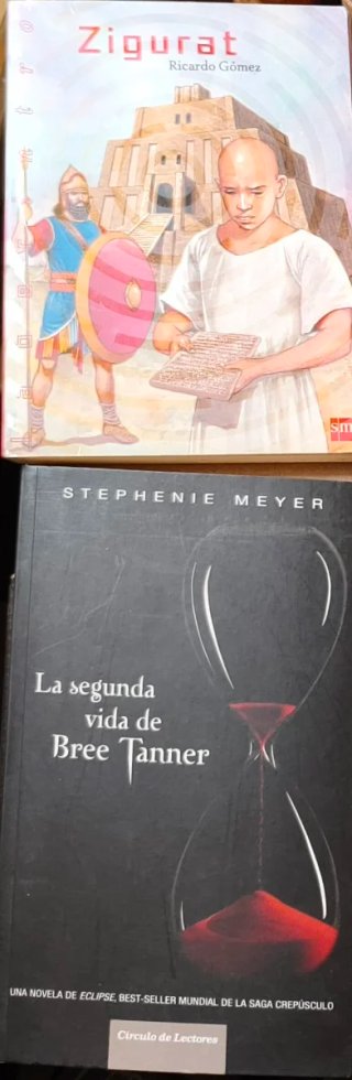 Varios libros infantiles y adultos