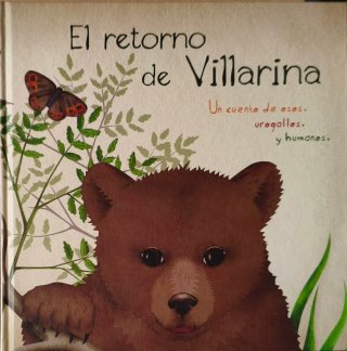 Varios libros infantiles y adultos