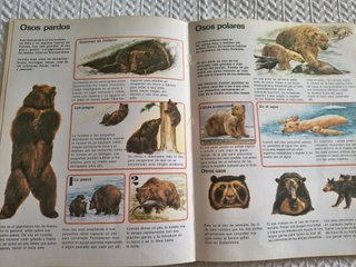 COMO VIVEN LOS ANIMALES (PLAZA & JANES)